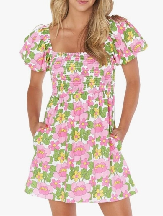 Show Me Your MuMu Dresses & Skirts - Show Me Your MuMu Bixby Mini Dress Fresh Floral